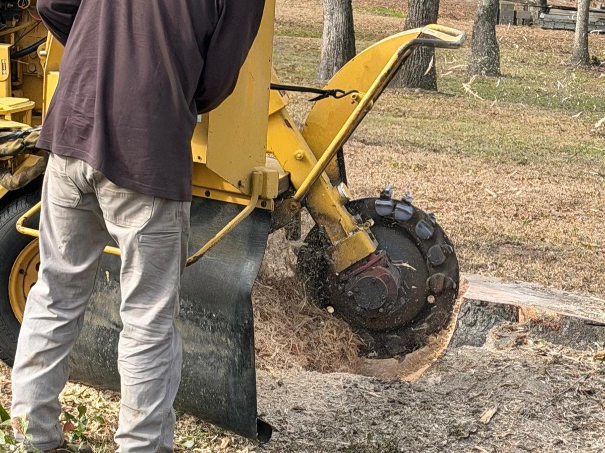 El Costeño Tree Service LLC